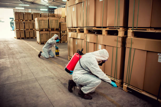 Best Emergency Pest Control  in Bolivar, WV