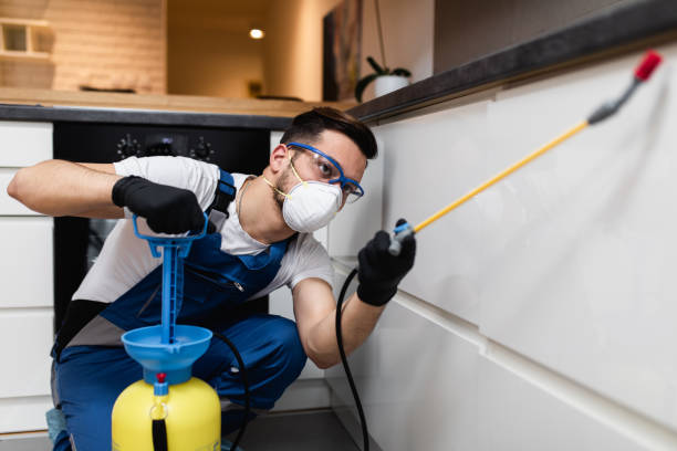 Best Affordable Pest Control Services  in Bolivar, WV
