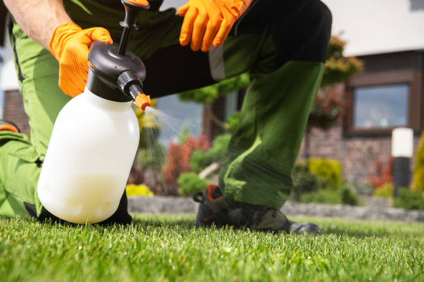 Best Pest Control Near Me in Bolivar, WV