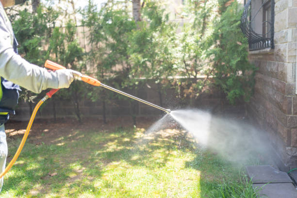 Reliable Bolivar, WV Pest Control Solutions