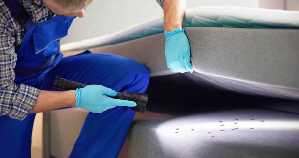 Best Pest Control for Restaurants  in Bolivar, WV