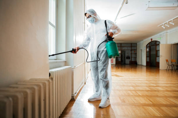 Best Affordable Pest Control Services  in Bolivar, WV