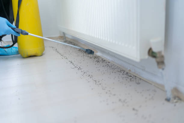 Best Pest Inspection Near Me  in Bolivar, WV