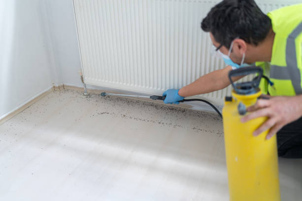 Best Pest Inspection Near Me  in Bolivar, WV