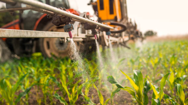 Best Pest Removal Services  in Bolivar, WV